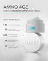 DIVES med. - Amino Age - Amino Acids Regeneration Rich Cream 50 ml