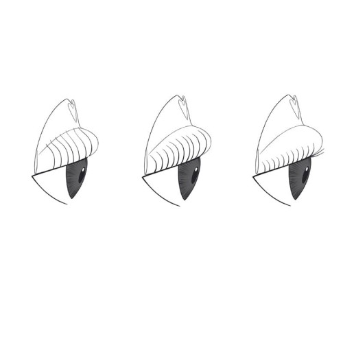 RefectoCil Refill Eyelash Lift Pads – Silikonowe podkładki do liftingu różne rozmiary 2szt.-M koniec serii 